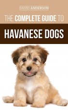 Complete Guide to Havanese Dogs