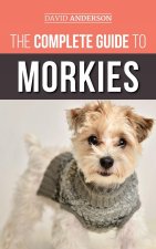 Complete Guide to Morkies