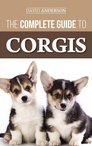 Complete Guide to Corgis