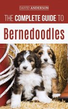 Complete Guide to Bernedoodles