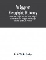Egyptian hieroglyphic dictionary