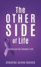 Other Side of Life