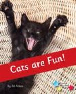 Cats are Fun!