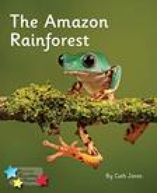 Amazon Rainforest