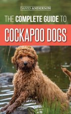 Complete Guide to Cockapoo Dogs