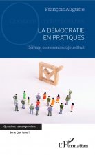 La démocratie en pratiques