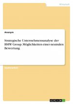 Strategische Unternehmensanalyse der BMW Group. Möglichkeiten einer neutralen Bewertung