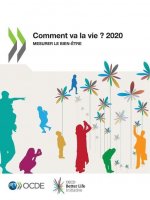 Comment Va La Vie ? 2020 Mesurer Le Bien-Etre