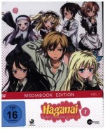 Haganai Season 1 (Volume 1)