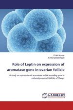 Role of Leptin on expression of aromatase gene in ovarian follicle