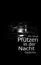 Pfutzen in der Nacht
