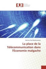 place de la Telecommunication dans l'Economie malgache