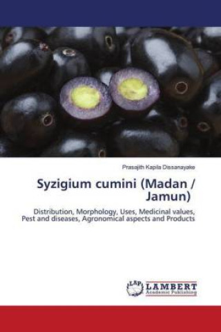 Syzigium cumini (Madan / Jamun)