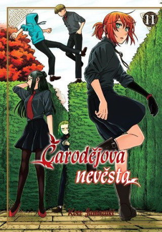 ďż˝arodďż˝jova nevďż˝sta 11