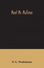 Meet Mr. Mulliner