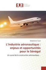 L'industrie aeronautique