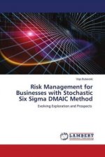 Risk Management for Businesses with Stochastic Six Sigma DMAIC Method