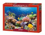 Puzzle 1000 Rafa koralowa C-101511-2