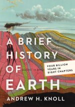 Brief History of Earth