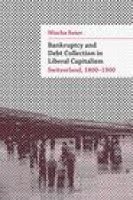 Bankruptcy and Debt Collection in Liberal Capitalism