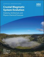 Crustal Magmatic System Evolution - Anatomy, Architecture, and Physico-Chemical Processes