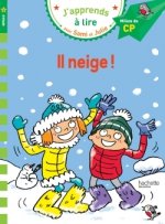CP Niveau 2/Il neige !