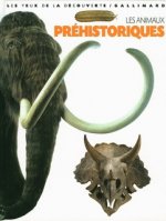 Les yeux de la decouverte