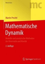 Mathematische Dynamik