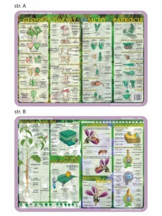 Podkładka edukacyjna 026 Biologia. Budowa Rośliny i Kwiatu, Cykl Rozwojowy Glony,Grzyby,Mchy,Paproc
