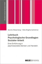 Lehrbuch Psychologie in der Sozialen Arbeit