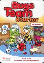 Bugs Team Starter. Flashcards