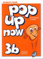 Pop Up Now 3B Sb