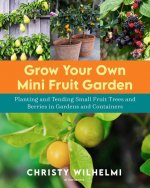 Grow Your Own Mini Fruit Garden