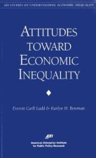 Public Attitudes on Economic Inequality