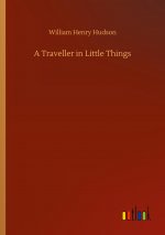 Traveller in Little Things