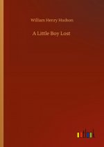 Little Boy Lost
