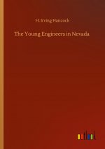 Young Engineers in Nevada