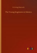 Young Engineers in Mexico
