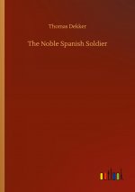 Noble Spanish Soldier