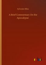 Brief Commentary On the Apocalypse