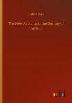 New Avatar and the Destiny of the Soul