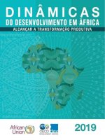 Dinamicas Do Desenvolvimento Em Africa 2019 Alcancar a Transformacao Produtiva