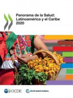 Panorama de la Salud: Latinoamerica Y El Caribe 2020