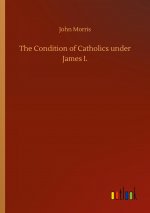 Condition of Catholics under James I.