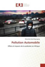 Pollution Automobile