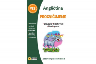 Angličtina Procvičujeme