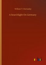 Searchlight On Germany