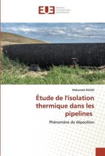 Etude de l'isolation thermique dans les pipelines