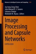 Image Processing and Capsule Networks