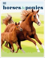 Horses & Ponies